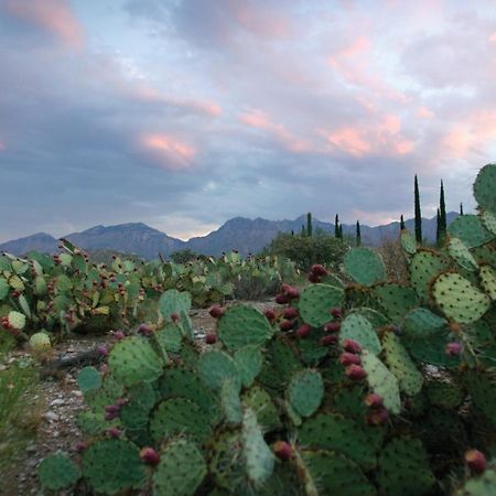 Canyon Ranch Tucson Mount Lemmont Luaran gambar
