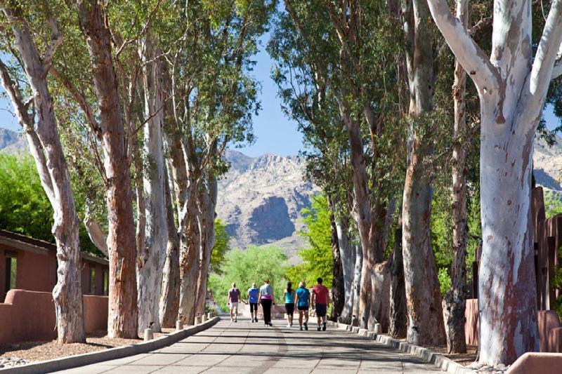 Canyon Ranch Tucson Mount Lemmont Luaran gambar