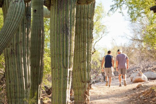 Canyon Ranch Tucson Mount Lemmont Luaran gambar
