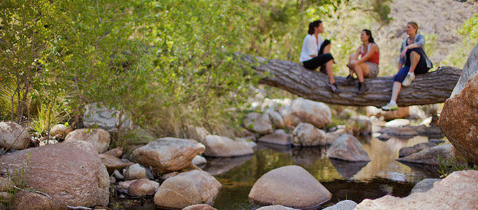 Canyon Ranch Tucson Mount Lemmont Luaran gambar